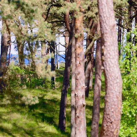 Дом отдыха Strandhaus Ruegen 243 - Meerblick, Sauna, Kamin & Whirlpool