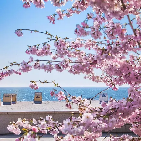 Strandhaus Ruegen 243