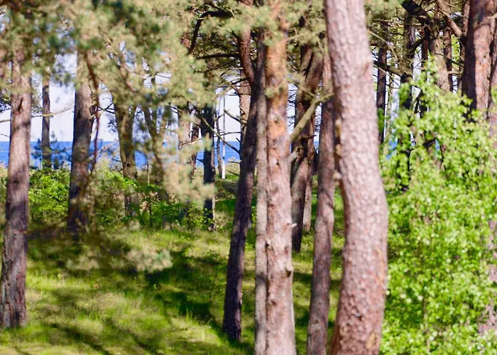 Hébergement de vacances Strandhaus Ruegen 243