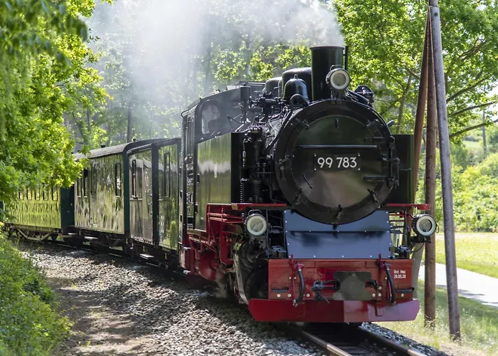 Dom wakacyjny Strandhaus Ruegen 243