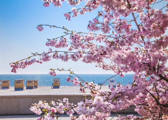 Strandhaus Ruegen 243